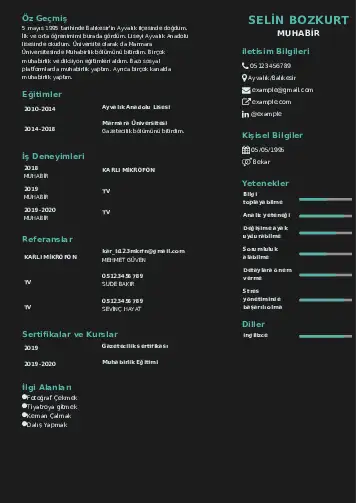 Muhabir örnek cv indir
